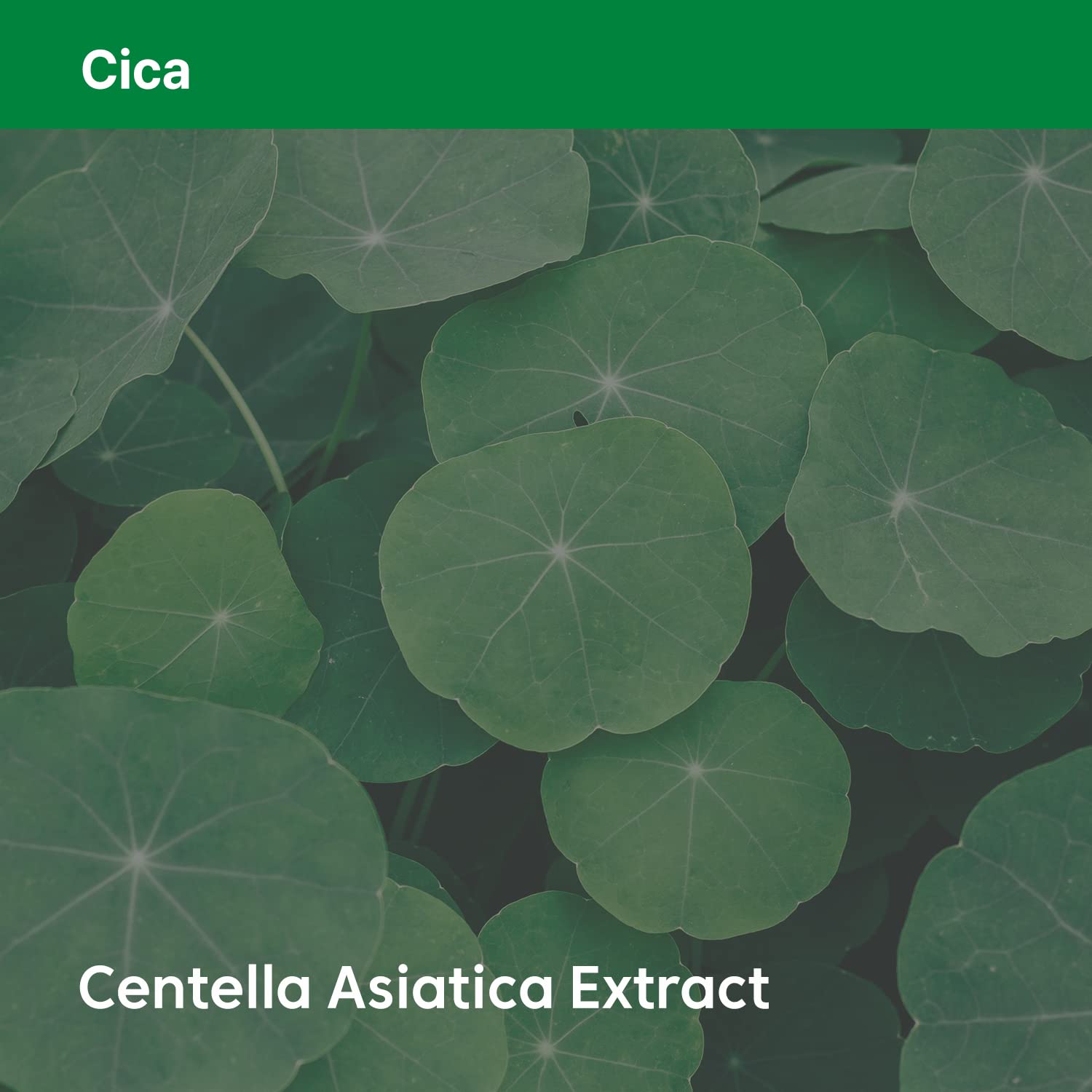 Phyto Relieful Cica Cream