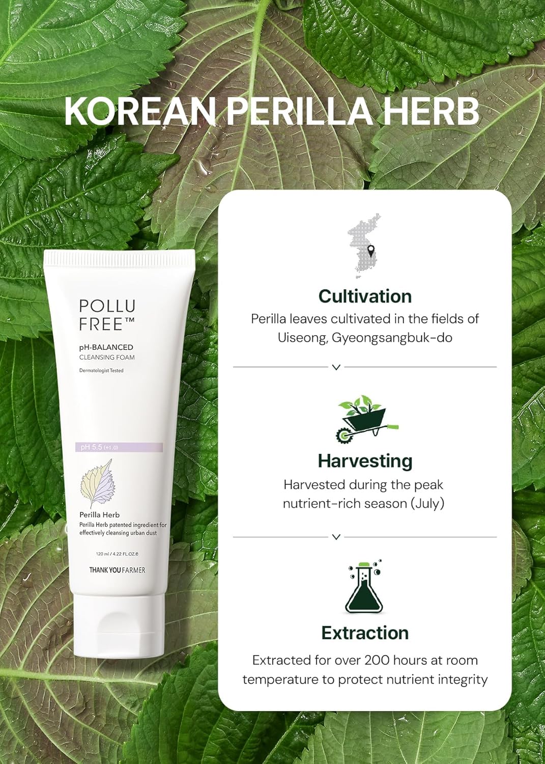 Pollufree pH-Balanced Cleansing Foam