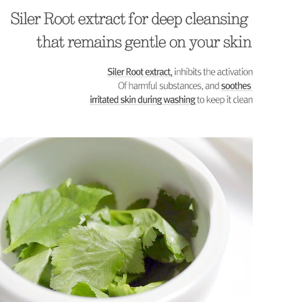 Cleansing Foam